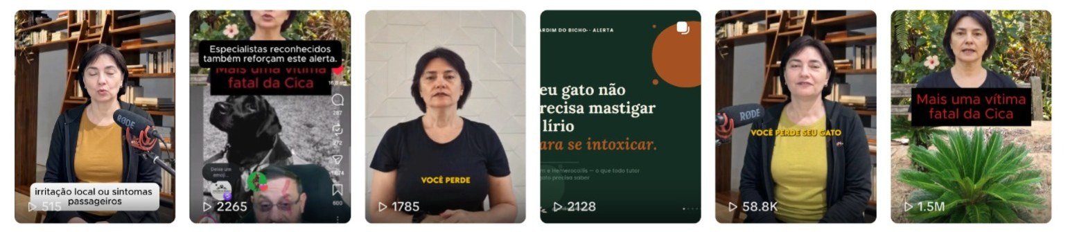 Perfil no TikTok com vídeo de 1,5 milhão de visualizações
